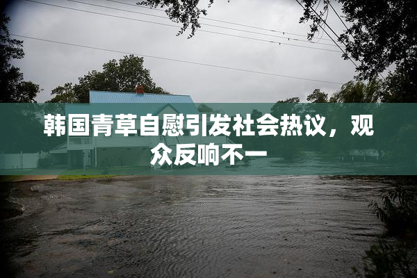 韩国青草自慰引发社会热议，观众反响不一