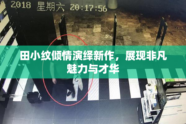 田小纹倾情演绎新作，展现非凡魅力与才华