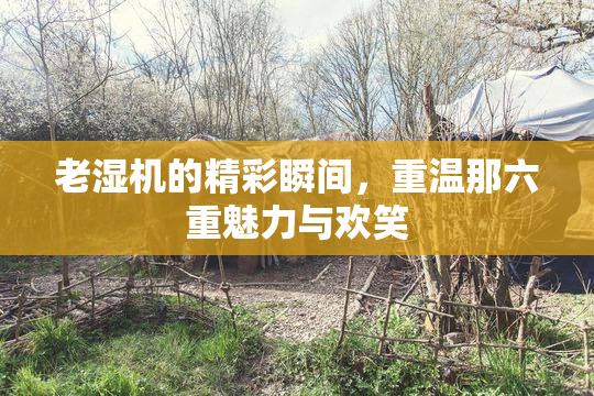 老湿机的精彩瞬间，重温那六重魅力与欢笑