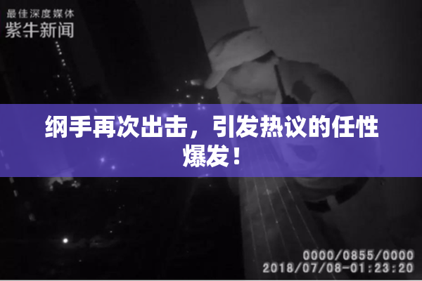 纲手再次出击，引发热议的任性爆发！