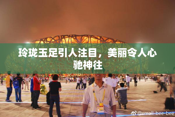 玲珑玉足引人注目，美丽令人心驰神往