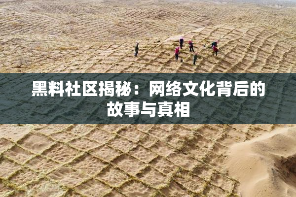 黑料社区揭秘：网络文化背后的故事与真相