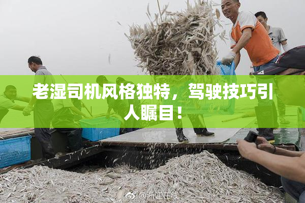 老湿司机风格独特，驾驶技巧引人瞩目！