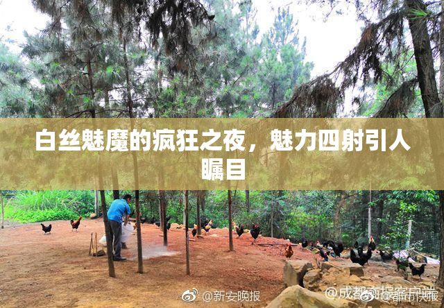 白丝魅魔的疯狂之夜，魅力四射引人瞩目