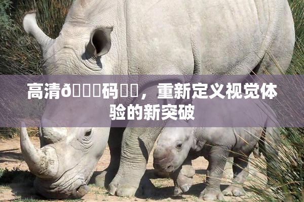 高清🈚码❌‌，重新定义视觉体验的新突破