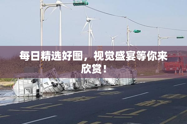 每日精选好图，视觉盛宴等你来欣赏！