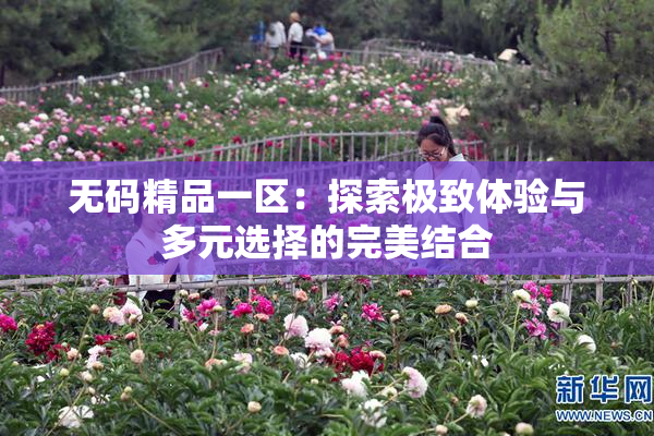 无码精品一区：探索极致体验与多元选择的完美结合