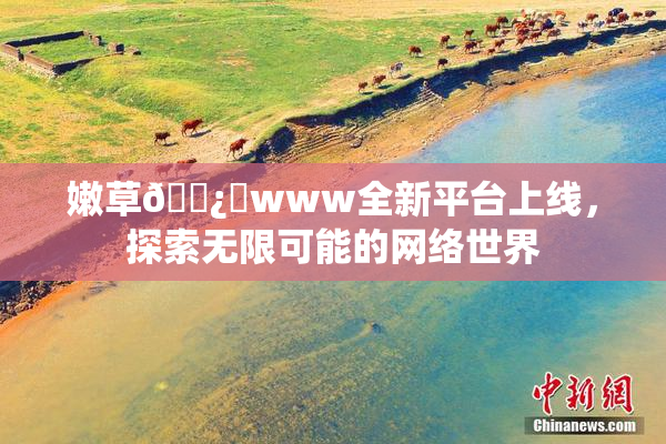 嫩草🌿‌www全新平台上线，探索无限可能的网络世界