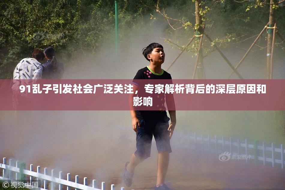 91乱子引发社会广泛关注，专家解析背后的深层原因和影响