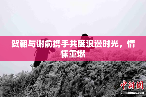 贺朝与谢俞携手共度浪漫时光，情愫重燃