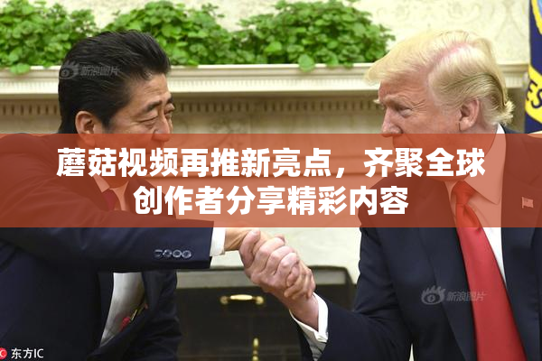 蘑菇视频再推新亮点，齐聚全球创作者分享精彩内容