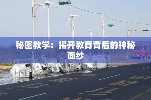 秘密教学：揭开教育背后的神秘面纱