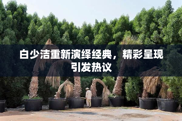 白少洁重新演绎经典，精彩呈现引发热议