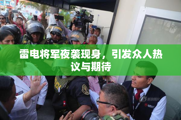 雷电将军夜袭现身，引发众人热议与期待
