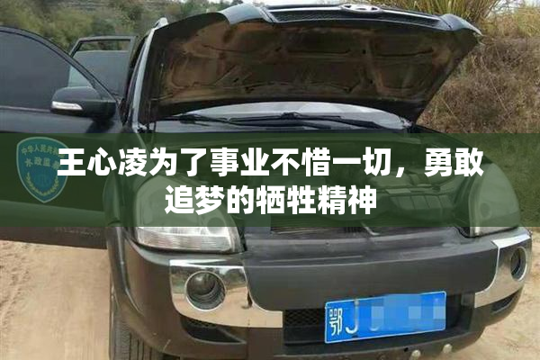 王心凌为了事业不惜一切，勇敢追梦的牺牲精神