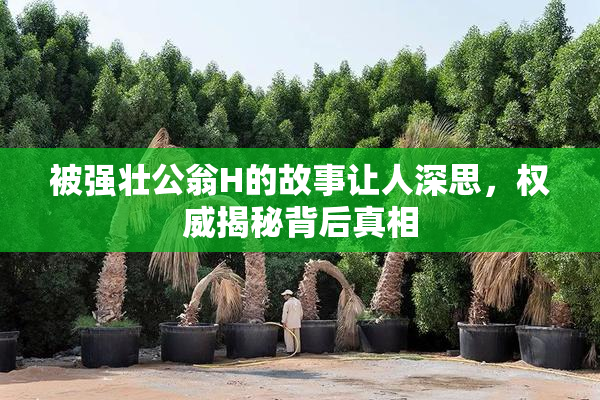 被强壮公翁H的故事让人深思，权威揭秘背后真相