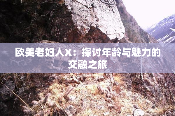 欧美老妇人X：探讨年龄与魅力的交融之旅
