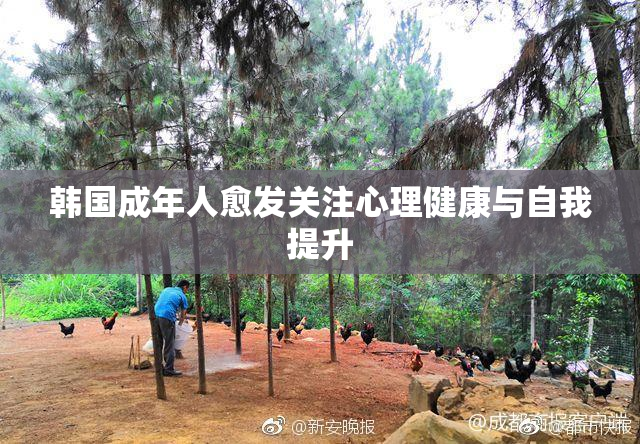 韩国成年人愈发关注心理健康与自我提升