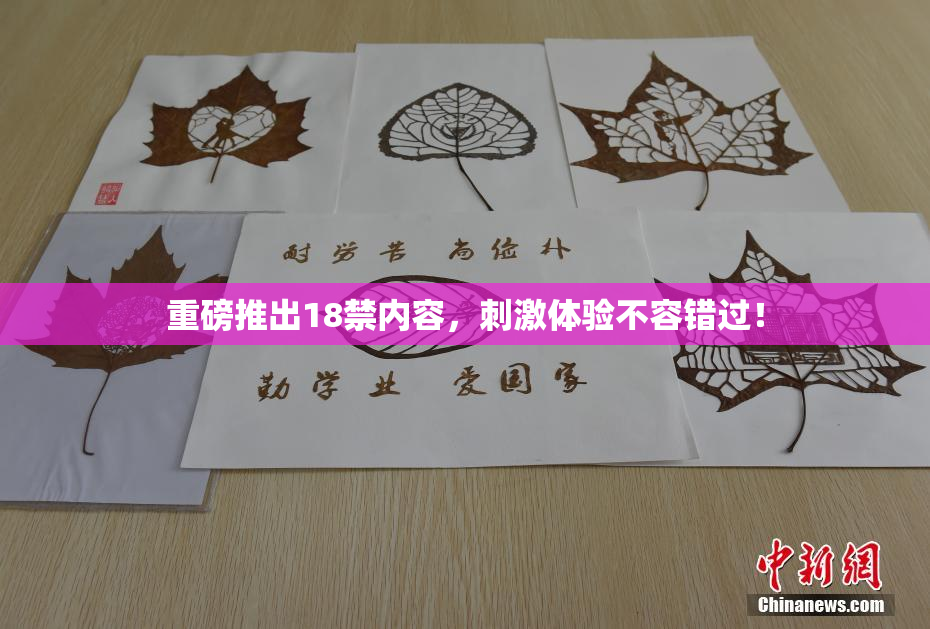 重磅推出18禁内容，刺激体验不容错过！