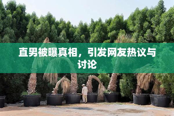 直男被曝真相，引发网友热议与讨论