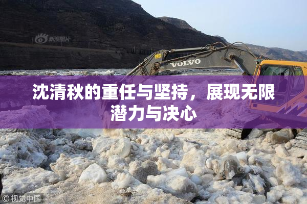 沈清秋的重任与坚持，展现无限潜力与决心