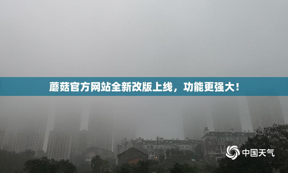 蘑菇官方网站全新改版上线，功能更强大！