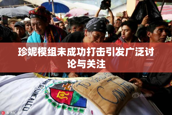珍妮模组未成功打击引发广泛讨论与关注