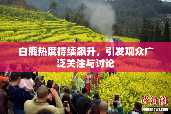 白鹿热度持续飙升，引发观众广泛关注与讨论