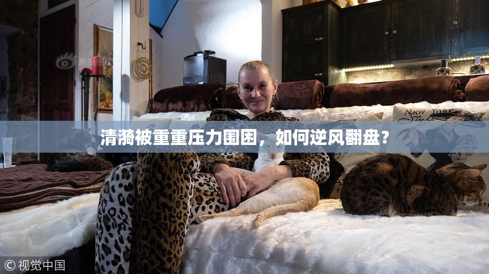 清漪被重重压力围困，如何逆风翻盘？