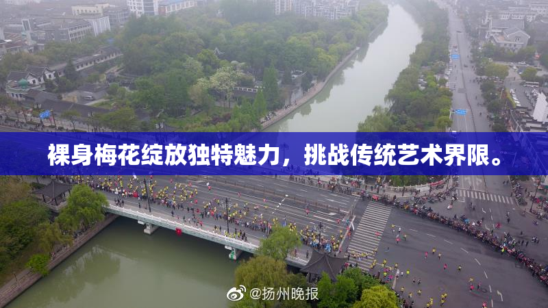 裸身梅花绽放独特魅力，挑战传统艺术界限。