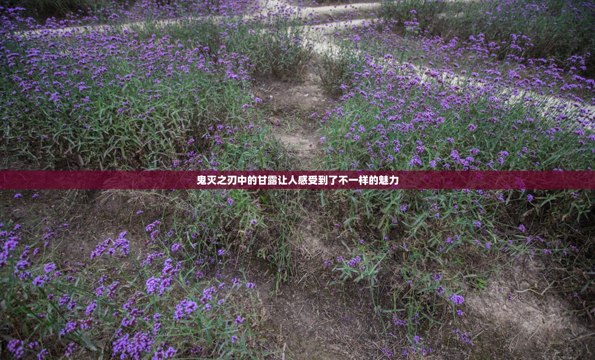 鬼灭之刃中的甘露让人感受到了不一样的魅力