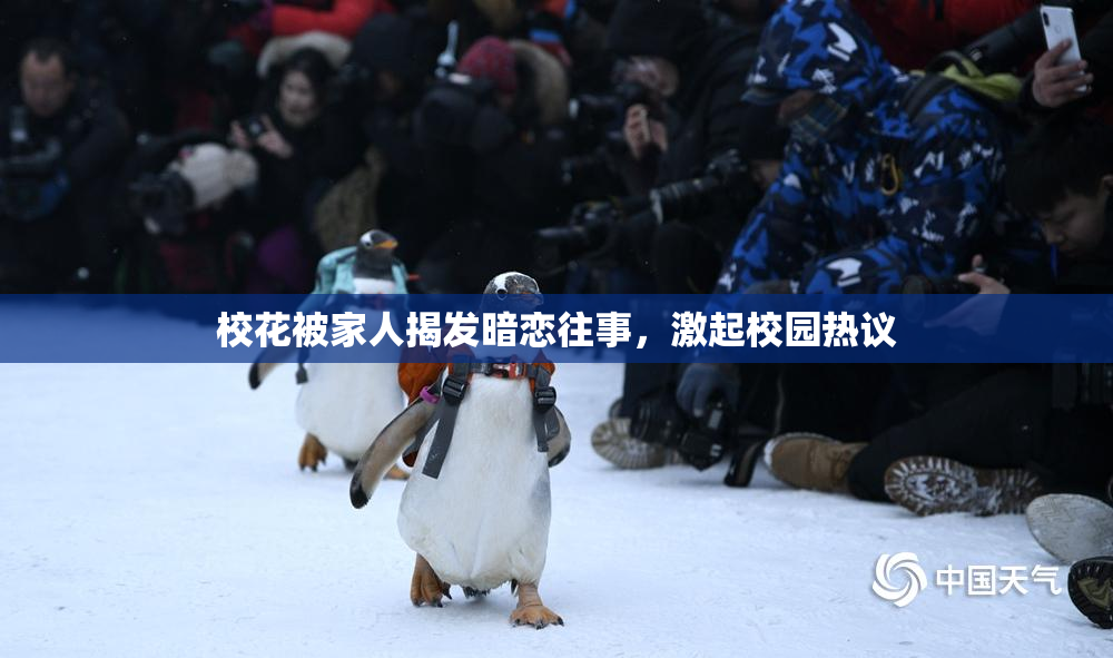 校花被家人揭发暗恋往事，激起校园热议