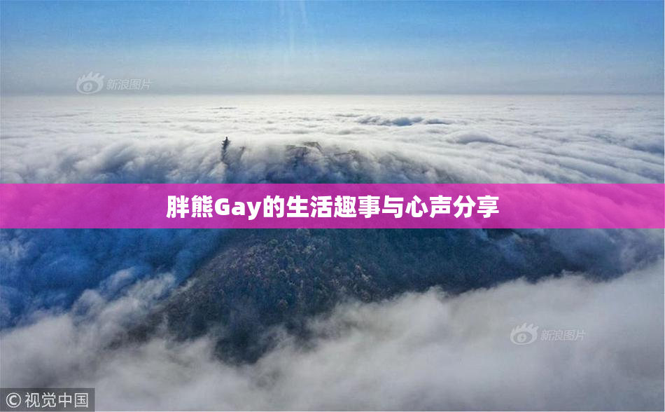 胖熊Gay的生活趣事与心声分享