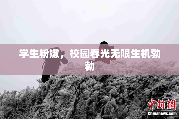学生粉嫩，校园春光无限生机勃勃