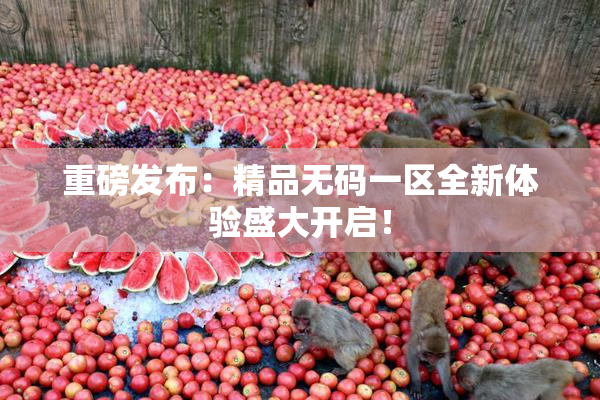 重磅发布：精品无码一区全新体验盛大开启！