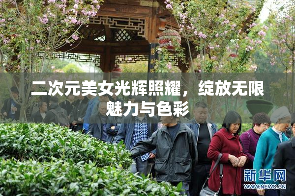 二次元美女光辉照耀，绽放无限魅力与色彩