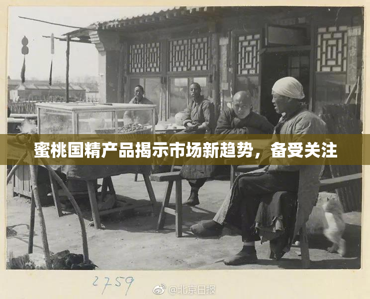 蜜桃国精产品揭示市场新趋势，备受关注