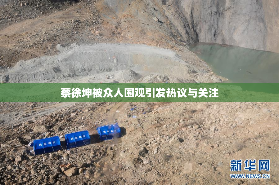 蔡徐坤被众人围观引发热议与关注