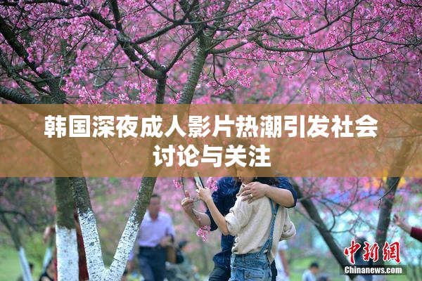 韩国深夜成人影片热潮引发社会讨论与关注