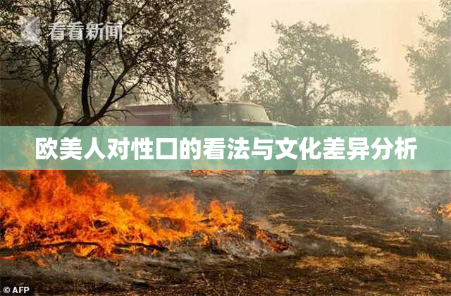 欧美人对性囗的看法与文化差异分析