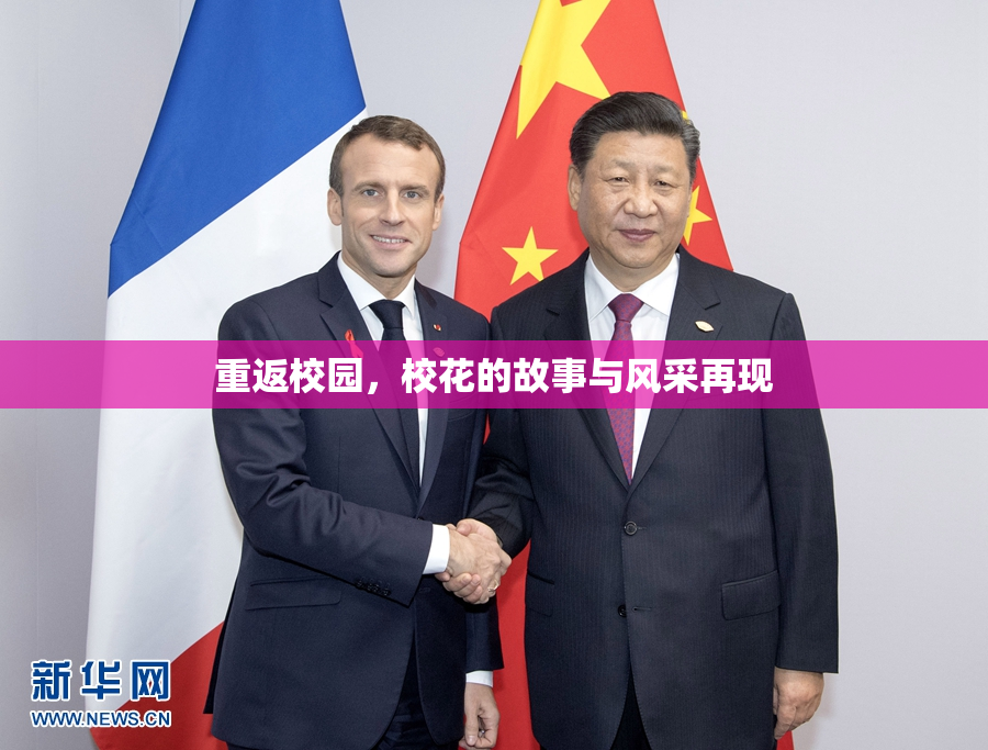 重返校园，校花的故事与风采再现