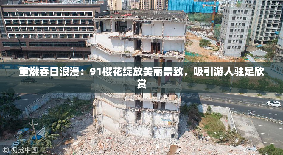 重燃春日浪漫：91樱花绽放美丽景致，吸引游人驻足欣赏