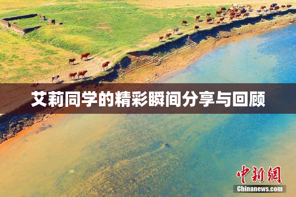 艾莉同学的精彩瞬间分享与回顾