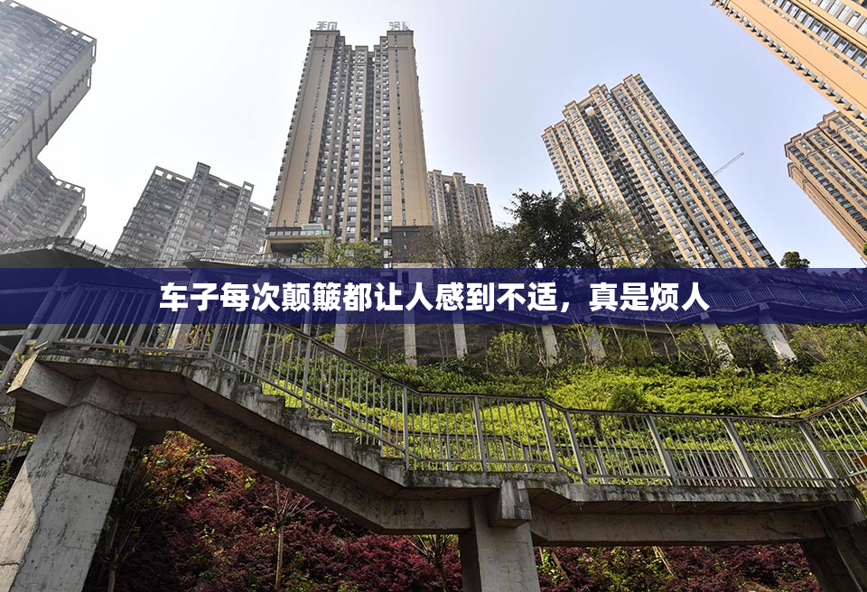 车子每次颠簸都让人感到不适，真是烦人