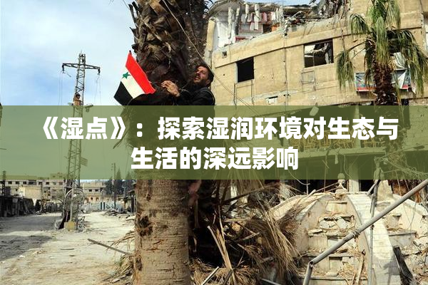 《湿点》：探索湿润环境对生态与生活的深远影响