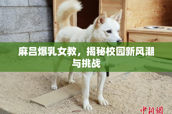 麻吕爆乳女教，揭秘校园新风潮与挑战