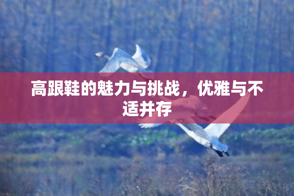 高跟鞋的魅力与挑战，优雅与不适并存