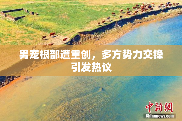 男宠根部遭重创，多方势力交锋引发热议