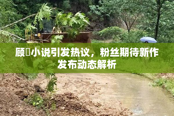 顾嫚小说引发热议，粉丝期待新作发布动态解析