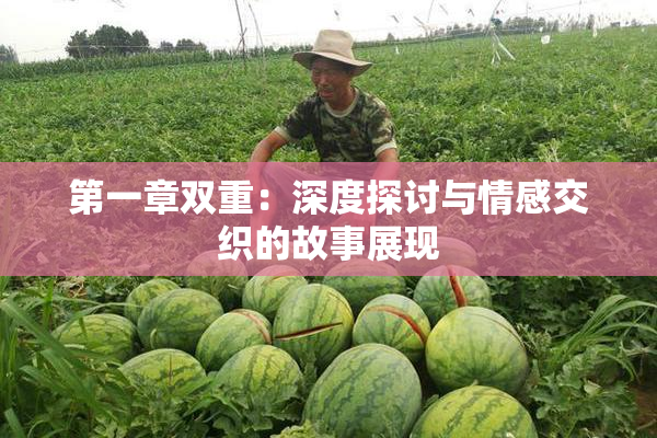 第一章双重：深度探讨与情感交织的故事展现